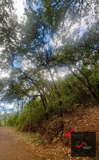 Terreno en Venta Labor de Castilla II, Zona 9 de Mixco — Terreno en Venta en Zona 9, Guatemala, Ciudad — miniatura 4 de 5