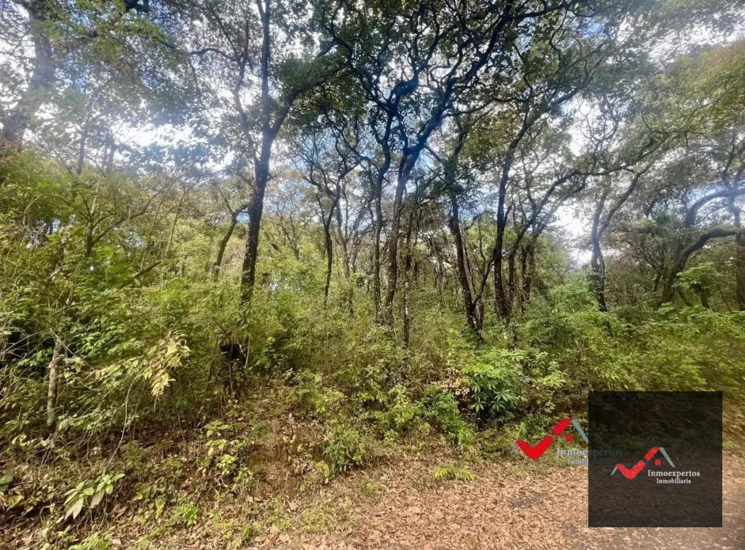 Terreno en Venta Labor de Castilla II, Zona 9 de Mixco — Terreno en Venta en Zona 9, Guatemala, Ciudad — foto 3 de 5