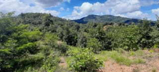Finca de 30 Manzanas en San Pedro Ayampuc – Ideal para Inversión o Ganadería — Finca en Venta en San Pedro Ayampuc, Guatemala, Ciudad — miniatura 7 de 7