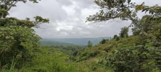 Finca de 30 Manzanas en San Pedro Ayampuc – Ideal para Inversión o Ganadería — Finca en Venta en San Pedro Ayampuc, Guatemala, Ciudad — miniatura 6 de 7
