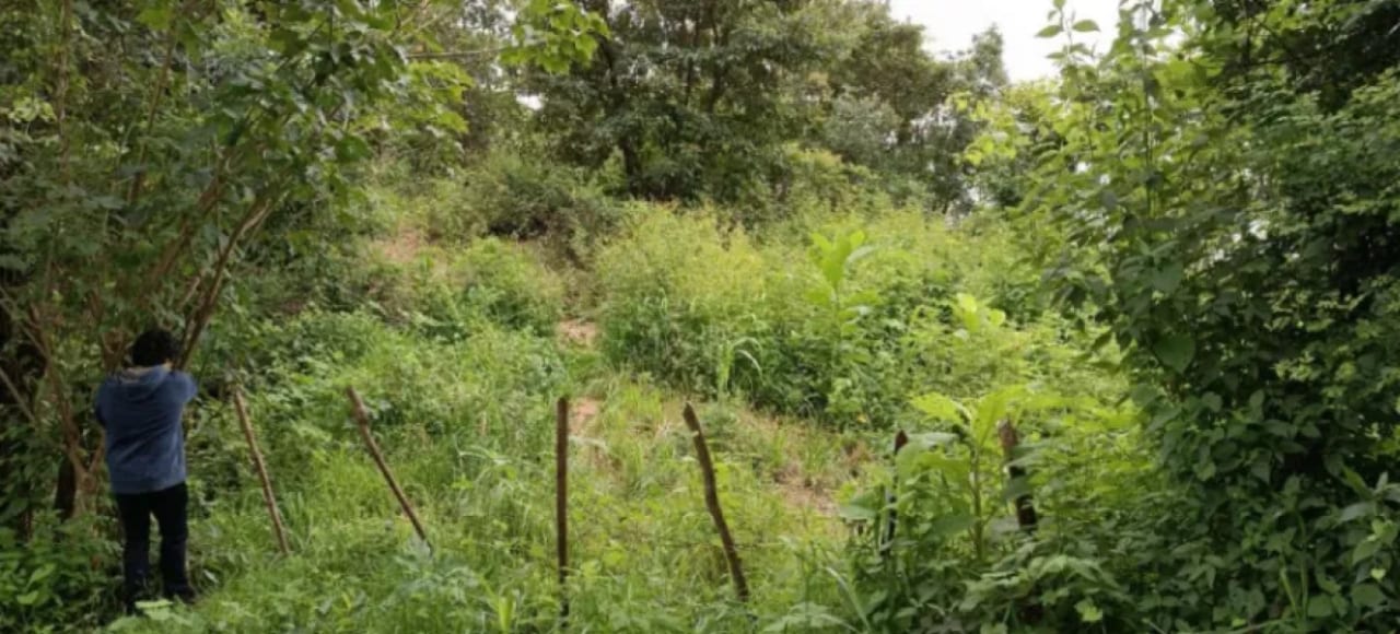 Finca de 30 Manzanas en San Pedro Ayampuc – Ideal para Inversión o Ganadería — Finca en Venta en San Pedro Ayampuc, Guatemala, Ciudad — foto 2 de 7