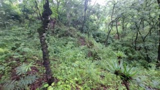 TERRENO en Venta - San Pedro Sacatepequez — Terreno en Venta en San Pedro Sacatepéquez, Sacatepéquez — miniatura 7 de 7