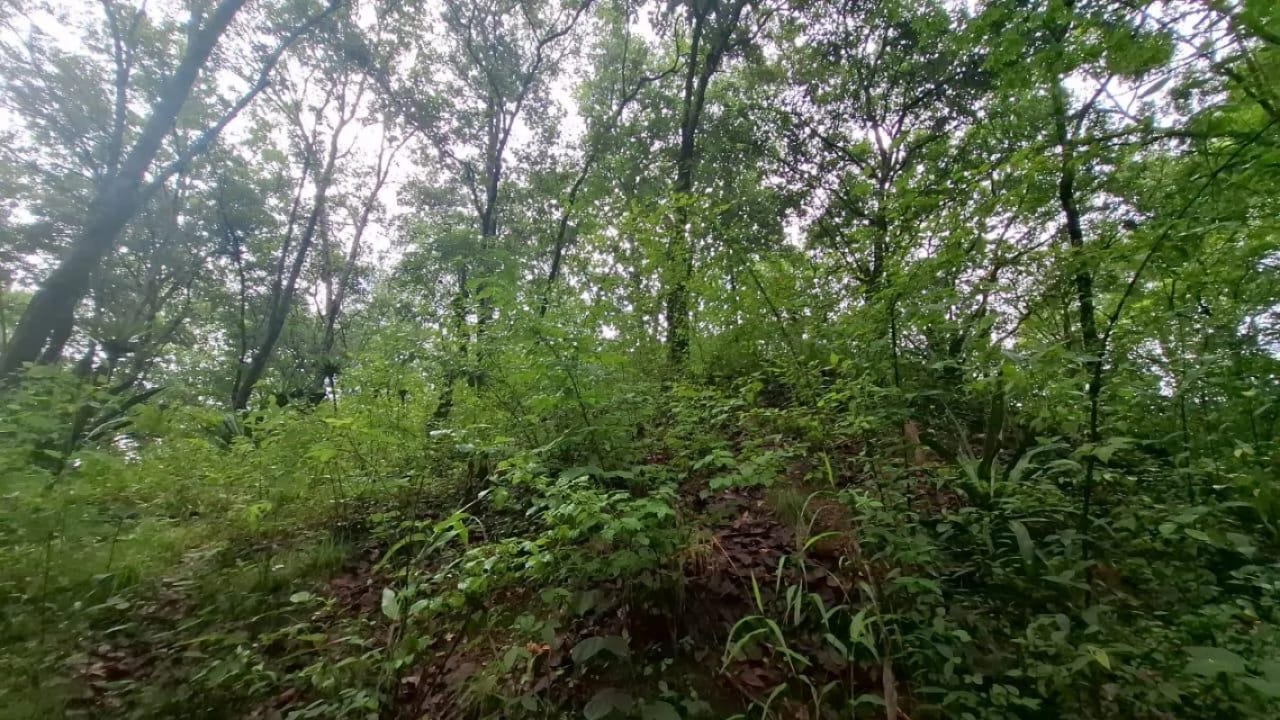 TERRENO en Venta - San Pedro Sacatepequez — Terreno en Venta en San Pedro Sacatepéquez, Sacatepéquez — foto 6 de 7