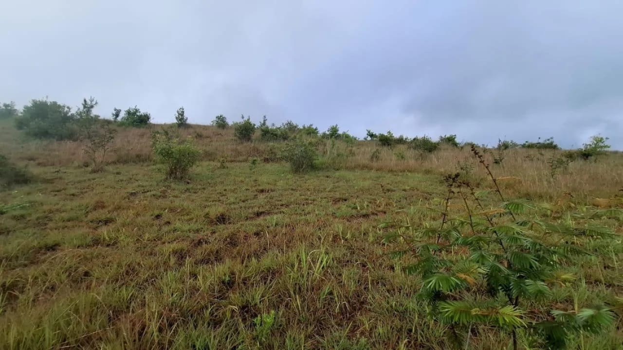 GRANJA en Venta - San Pedro Sacatepéquez Prados de La Floresta — Terreno en Venta en San Pedro Sacatepéquez, Sacatepéquez — foto 6 de 9