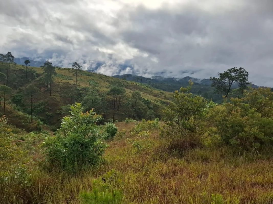 GRANJA en Venta - San Pedro Sacatepéquez Prados de La Floresta — Terreno en Venta en San Pedro Sacatepéquez, Sacatepéquez — foto 5 de 9