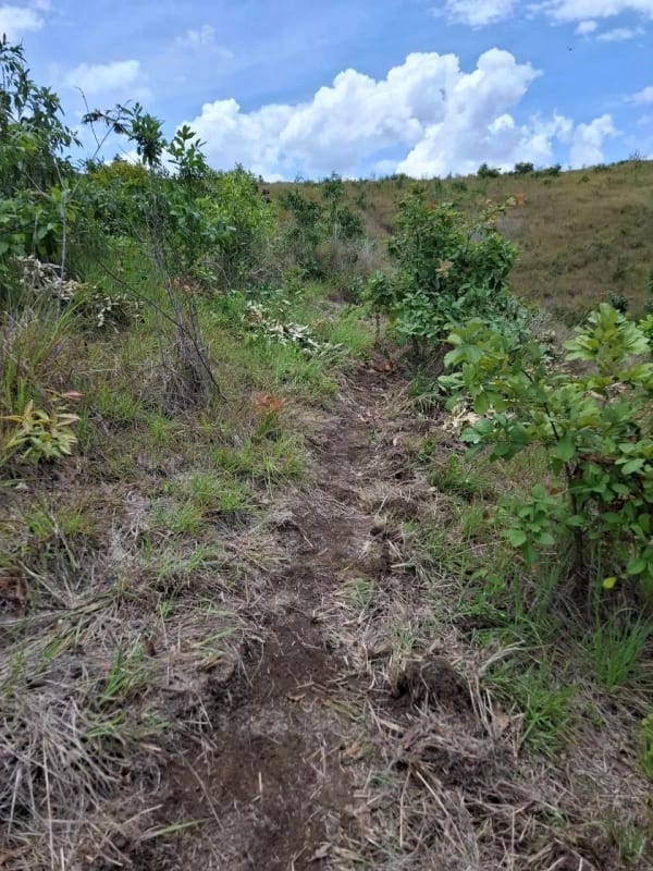 GRANJA en Venta - San Pedro Sacatepéquez Prados de La Floresta — Terreno en Venta en San Pedro Sacatepéquez, Sacatepéquez — foto 3 de 9