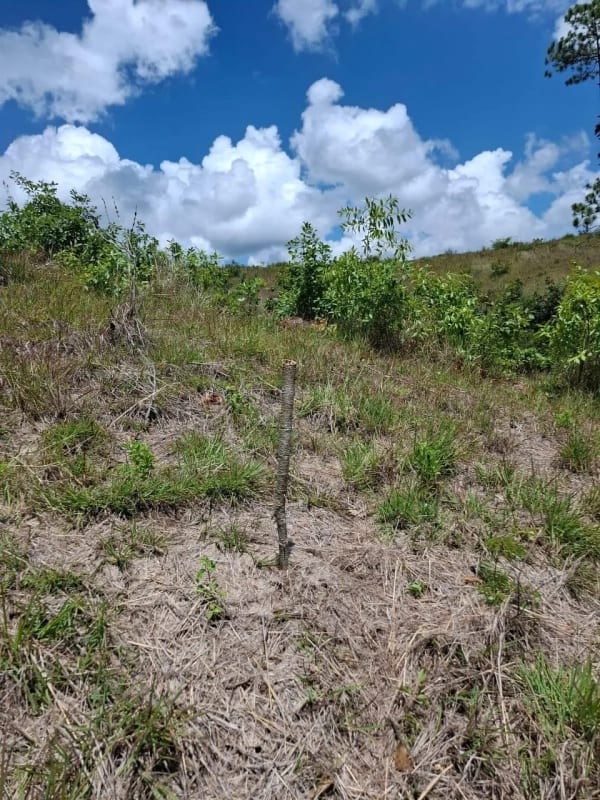 GRANJA en Venta - San Pedro Sacatepéquez Prados de La Floresta — Terreno en Venta en San Pedro Sacatepéquez, Sacatepéquez — foto 2 de 9