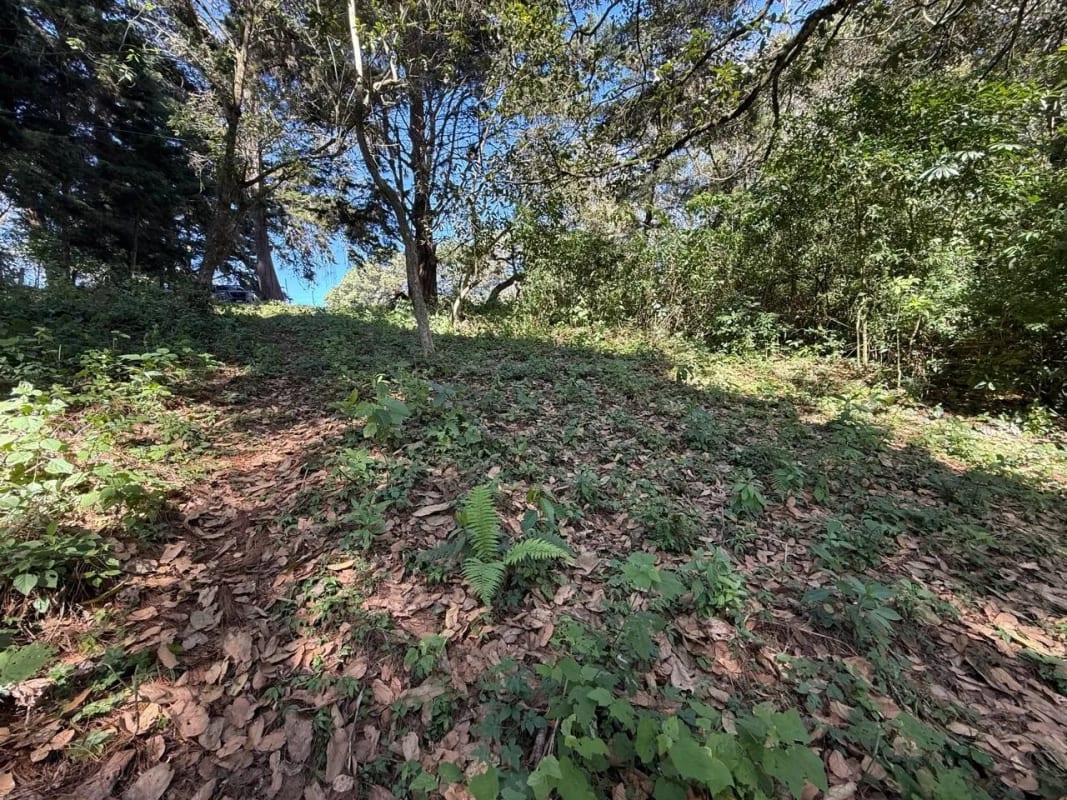Venta de Terreno en San Juan Sacatepequez — Terreno en Venta en San Juan Sacatepéquez, Sacatepéquez — foto 1 de 2