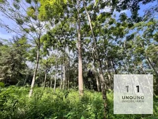 Propiedad en venta en Villa Canales — Terreno en Venta en Villa Canales, Guatemala, Ciudad — miniatura 1 de 5