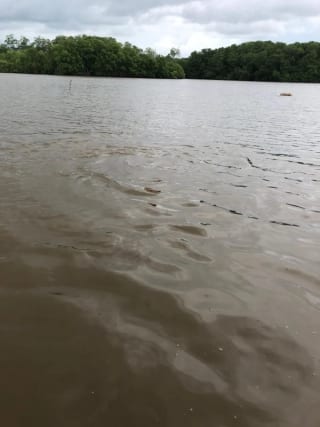 Playa el Jiote Moyuta Jutiapa Hermosa Propiedad en Venta, Terreno y Rancho — Terreno en Venta en Moyuta, Jutiapa — miniatura 11 de 12