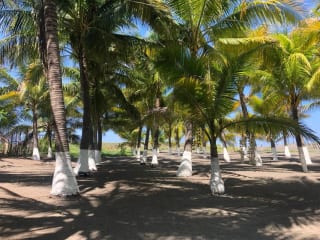 Playa el Jiote Moyuta Jutiapa Hermosa Propiedad en Venta, Terreno y Rancho — Terreno en Venta en Moyuta, Jutiapa — miniatura 8 de 12