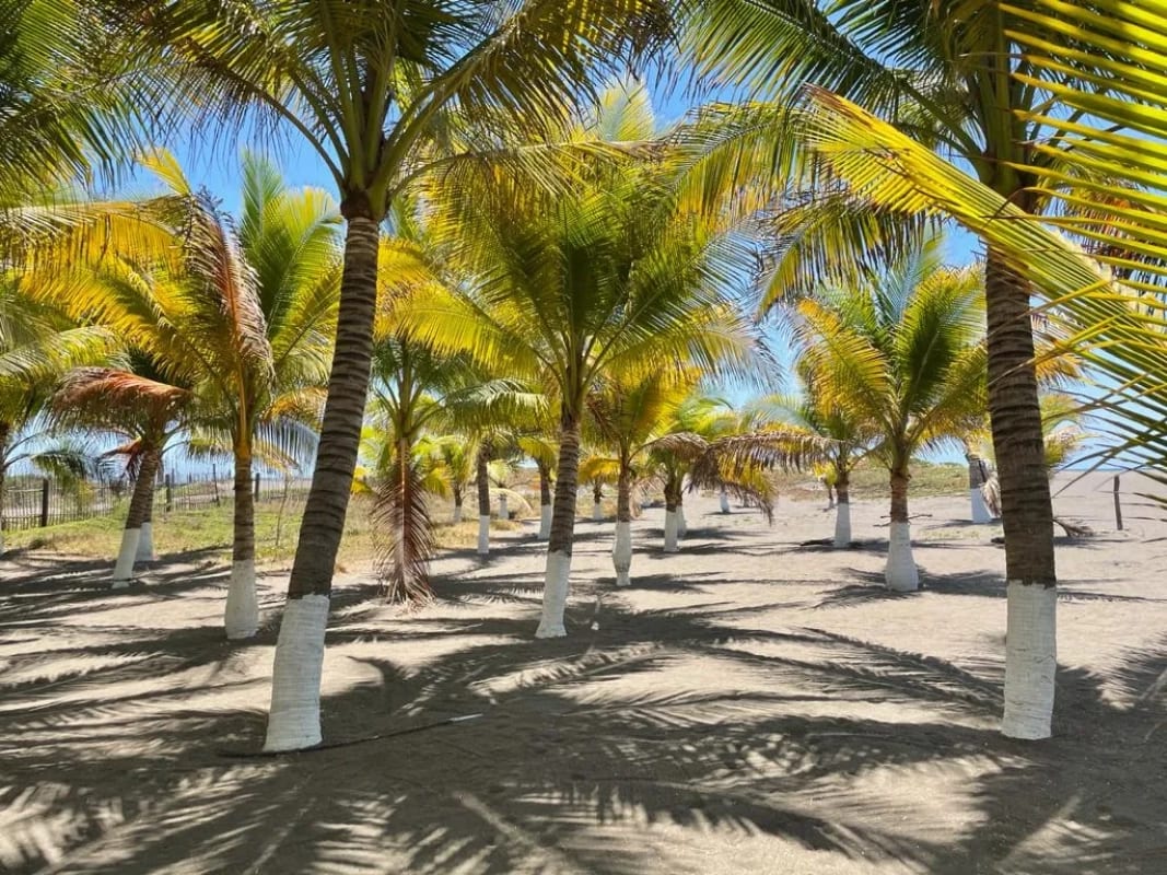 Playa el Jiote Moyuta Jutiapa Hermosa Propiedad en Venta, Terreno y Rancho — Terreno en Venta en Moyuta, Jutiapa — foto 6 de 12