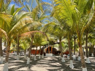 Playa el Jiote Moyuta Jutiapa Hermosa Propiedad en Venta, Terreno y Rancho — Terreno en Venta en Moyuta, Jutiapa — miniatura 2 de 12