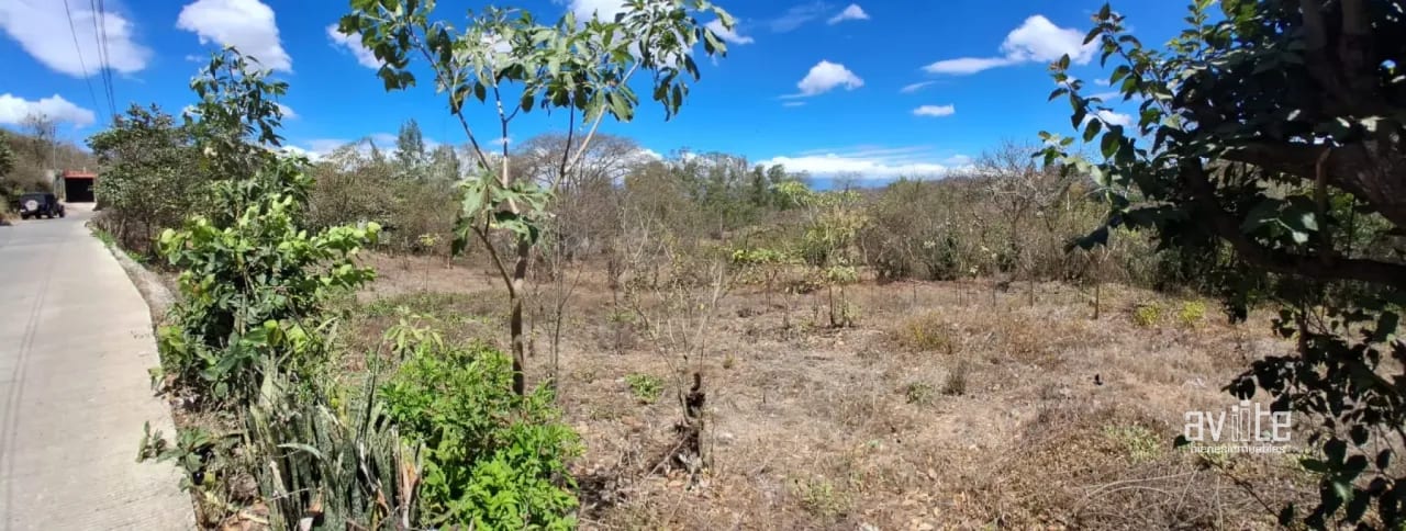 Terreno de 1,510 metros en San Antonio La Paz, El Progreso Q550,000 — Terreno en Venta en San Antonio La Paz, El Progreso — foto 2 de 7