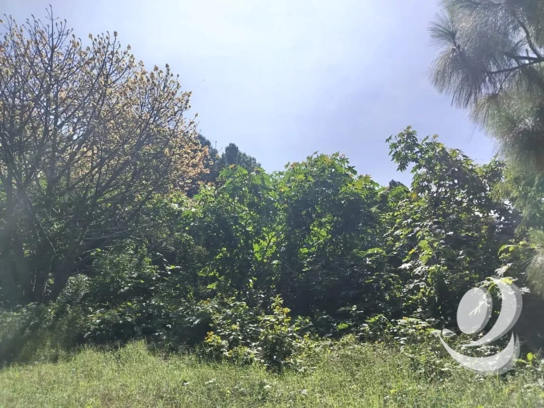 Vendo Terreno Condominio Sausalito, Fraijanes. — Terreno en Venta en Sausalito, Carretera a El Salvador, Guatemala, Ciudad — foto 2 de 16