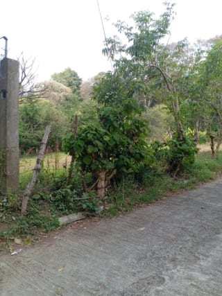 TERRENO en Venta (2) - El Manzanillo, Mixco zona 1 — Terreno en Venta en Zona 1 Mixco, Guatemala, Ciudad — miniatura 8 de 9