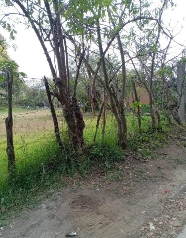 TERRENO en Venta (2) - El Manzanillo, Mixco zona 1 — Terreno en Venta en Zona 1 Mixco, Guatemala, Ciudad — foto 6 de 9