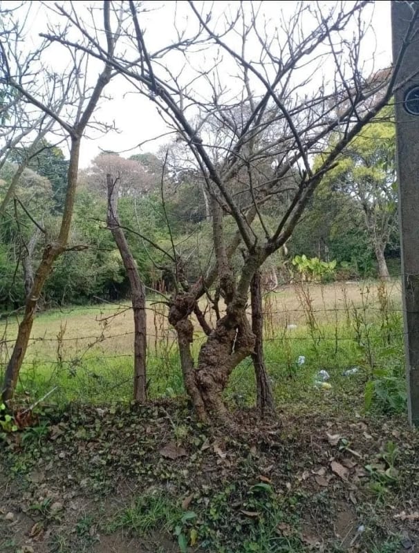 TERRENO en Venta (2) - El Manzanillo, Mixco zona 1 — Terreno en Venta en Zona 1 Mixco, Guatemala, Ciudad — foto 5 de 9