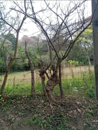 TERRENO en Venta (2) - El Manzanillo, Mixco zona 1 — Terreno en Venta en Zona 1 Mixco, Guatemala, Ciudad — miniatura 5 de 9
