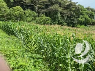 Vendo Terrenos, Planos en Santa Catarina Pinula zona 10 Guatemala. — Terreno en Venta en Villas Granada Premier 2, Santa Catarina Pinula, Guatemala, Ciudad — miniatura 5 de 9