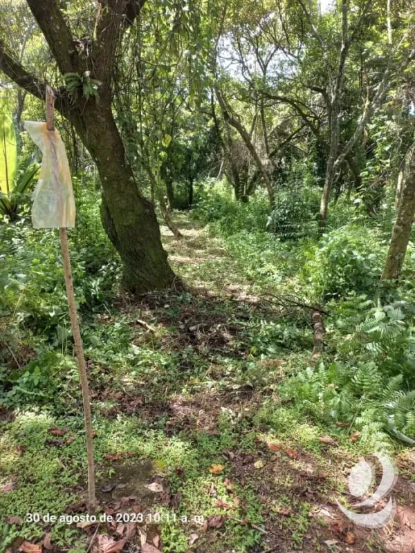 Venta de Terrenos en residencial, Casa y Campo. Carretera a el salvador km23.5 — Terreno en Venta en Campo Verde, Carretera a El Salvador, Guatemala, Ciudad — foto 7 de 8