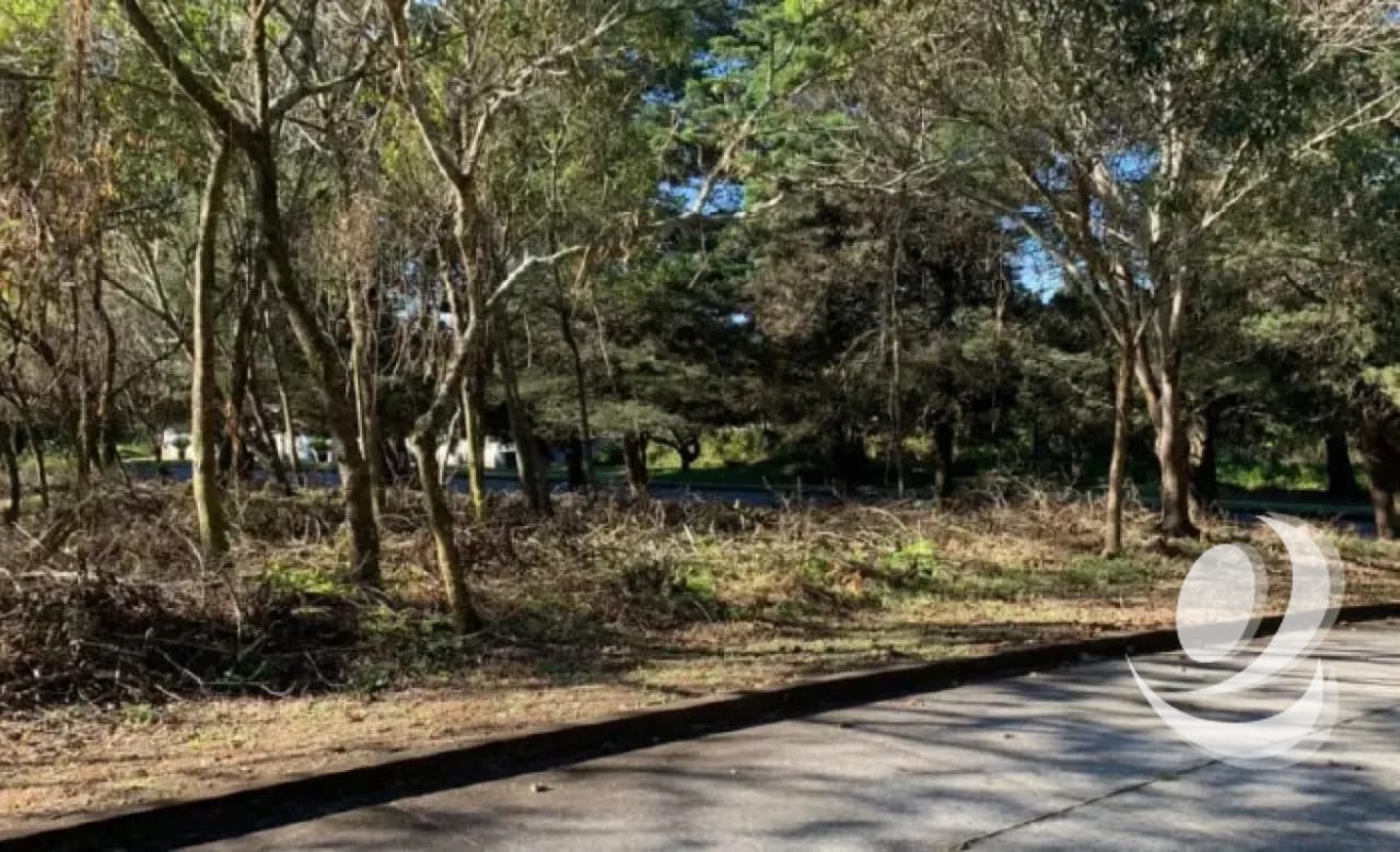 Venta de Terrenos en residencial, Casa y Campo. Carretera a el salvador km23.5 — Terreno en Venta en Campo Verde, Carretera a El Salvador, Guatemala, Ciudad — foto 6 de 8