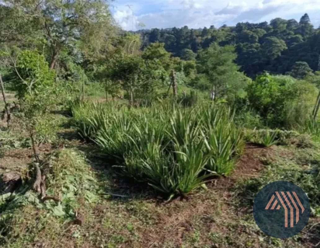 Venta de Terreno Residencial - Hacienda Real, Zona 16 — Terreno en Venta en Hacienda Real, Zona 16, Guatemala, Ciudad — foto 4 de 8