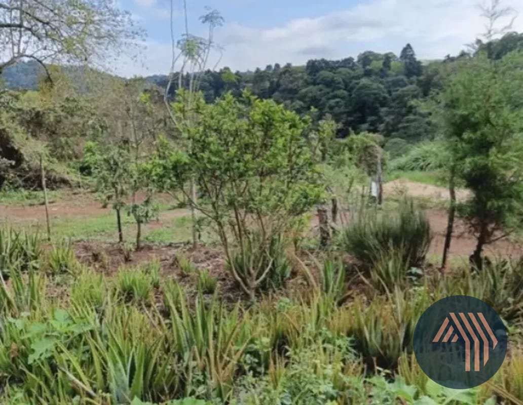 Venta de Terreno Residencial - Hacienda Real, Zona 16 — Terreno en Venta en Hacienda Real, Zona 16, Guatemala, Ciudad — foto 3 de 8