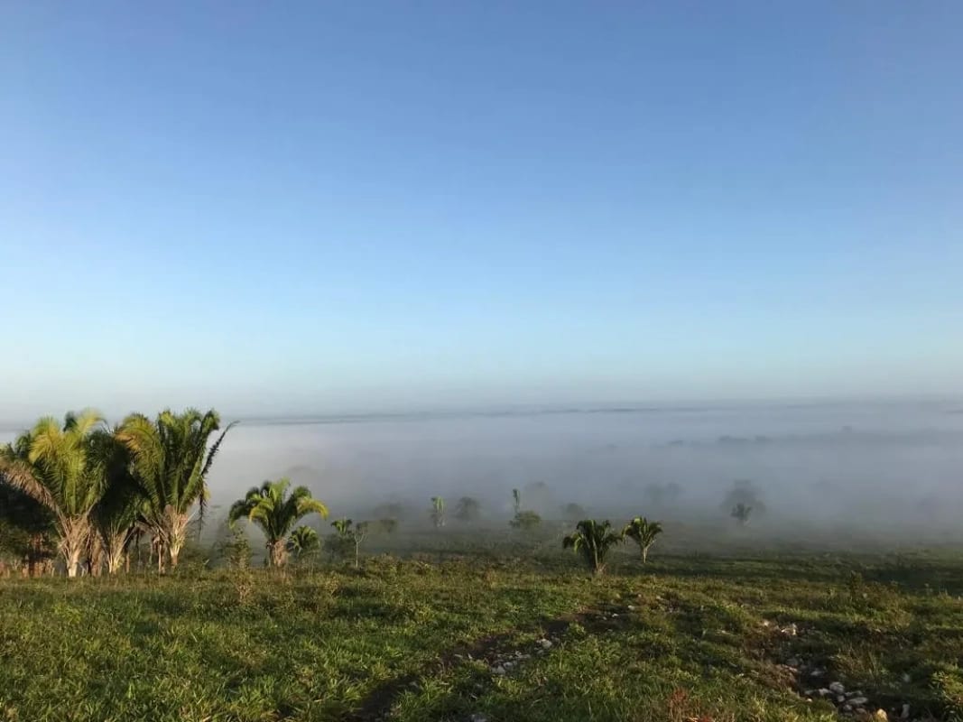 Finca de 4,876 manzanas en Venta en Petén — Finca en Venta en Sayaxché, Petén — foto 4 de 4