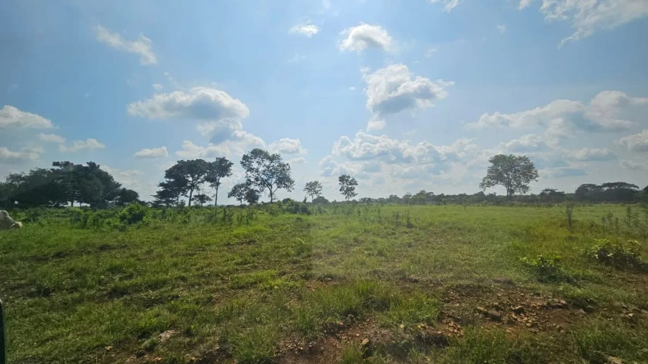Finca de 4,876 manzanas en Venta en Petén — Finca en Venta en Sayaxché, Petén — foto 2 de 4