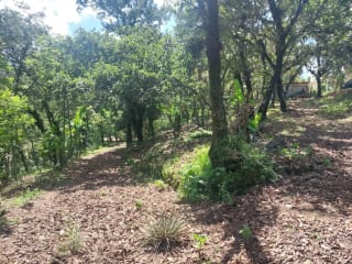 TERRENO en Venta- Alamedas de Yumar, zona 6 mixco — Terreno en Venta en Zona 6 Mixco, Guatemala, Ciudad — miniatura 4 de 13