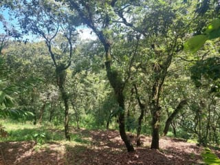 TERRENO en Venta- Alamedas de Yumar, zona 6 mixco — Terreno en Venta en Zona 6 Mixco, Guatemala, Ciudad — miniatura 2 de 13