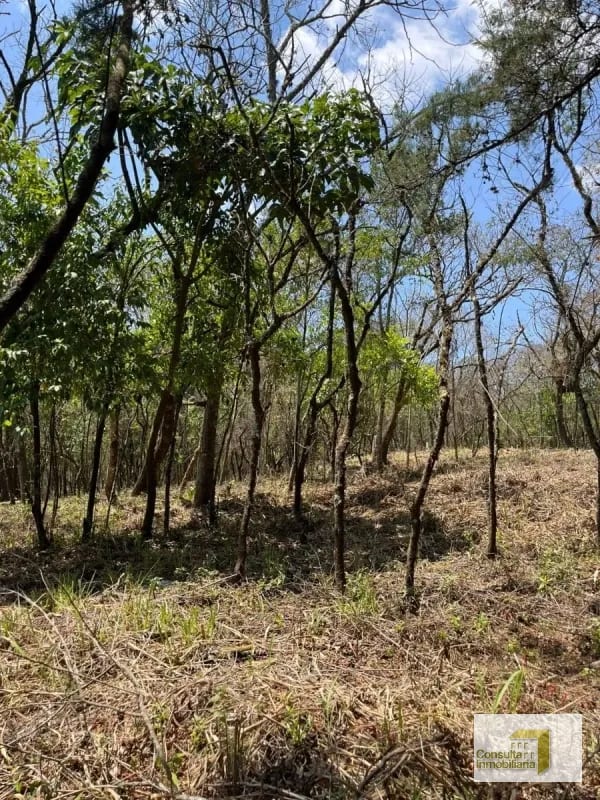 Casa y Campo/ terreno en venta/ 3286v2 — Terreno en Venta en Carretera a El Salvador, Guatemala, Ciudad — foto 4 de 6