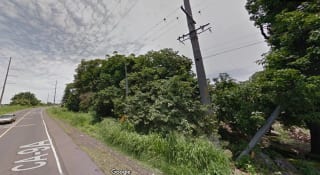 Terreno en venta Ruta Vieja al Puerto km 62 Masagua con 8 manzanas de extensión — Terreno en Venta en Masagua, Escuintla — miniatura 3 de 3