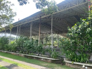 Preciosa Propiedad de Esquina en Alotenango Frente a la RN14 — Terreno en Venta en Alotenango, Sacatepéquez — miniatura 13 de 14