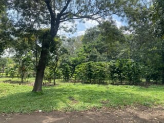 Preciosa Propiedad de Esquina en Alotenango Frente a la RN14 — Terreno en Venta en Alotenango, Sacatepéquez — miniatura 6 de 14