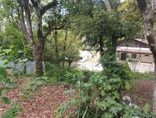 Terreno en Venta en San Lucas — Terreno en Venta en San Lucas Sacatepéquez, Sacatepéquez — miniatura 4 de 9