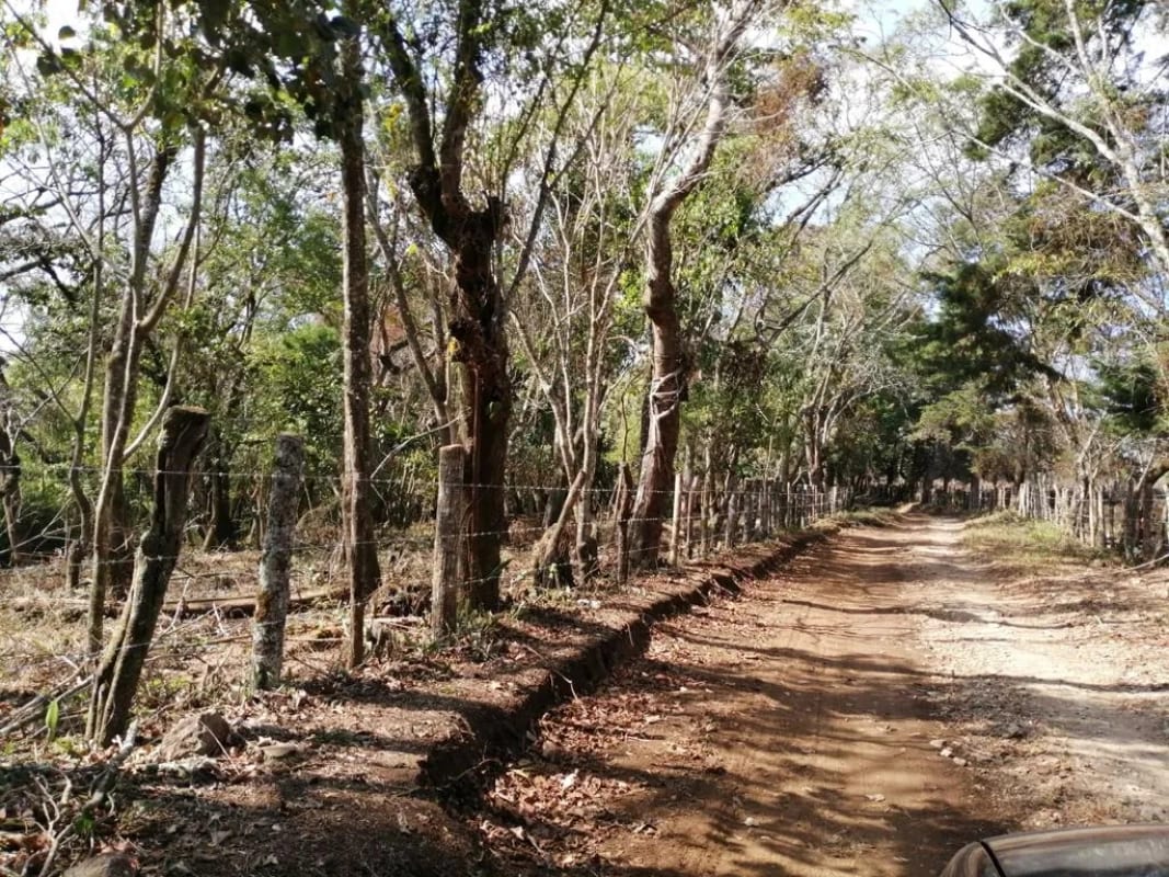 Terreno 7 manzanas km 26.5 a Santa Elena Barillas — Terreno en Venta en Santa Elena Barillas, Guatemala, Ciudad — foto 1 de 6