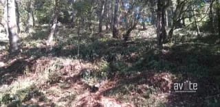 El Encinal, tronco 10. Terreno de 4,460 varas en venta Q900,000 más impuestos, negociable — Terreno en Venta en El Encinal, Zona 7 Mixco, Guatemala, Ciudad — miniatura 5 de 9