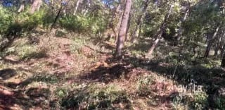 El Encinal, tronco 10. Terreno de 4,460 varas en venta Q900,000 más impuestos, negociable — Terreno en Venta en El Encinal, Zona 7 Mixco, Guatemala, Ciudad — miniatura 8 de 9