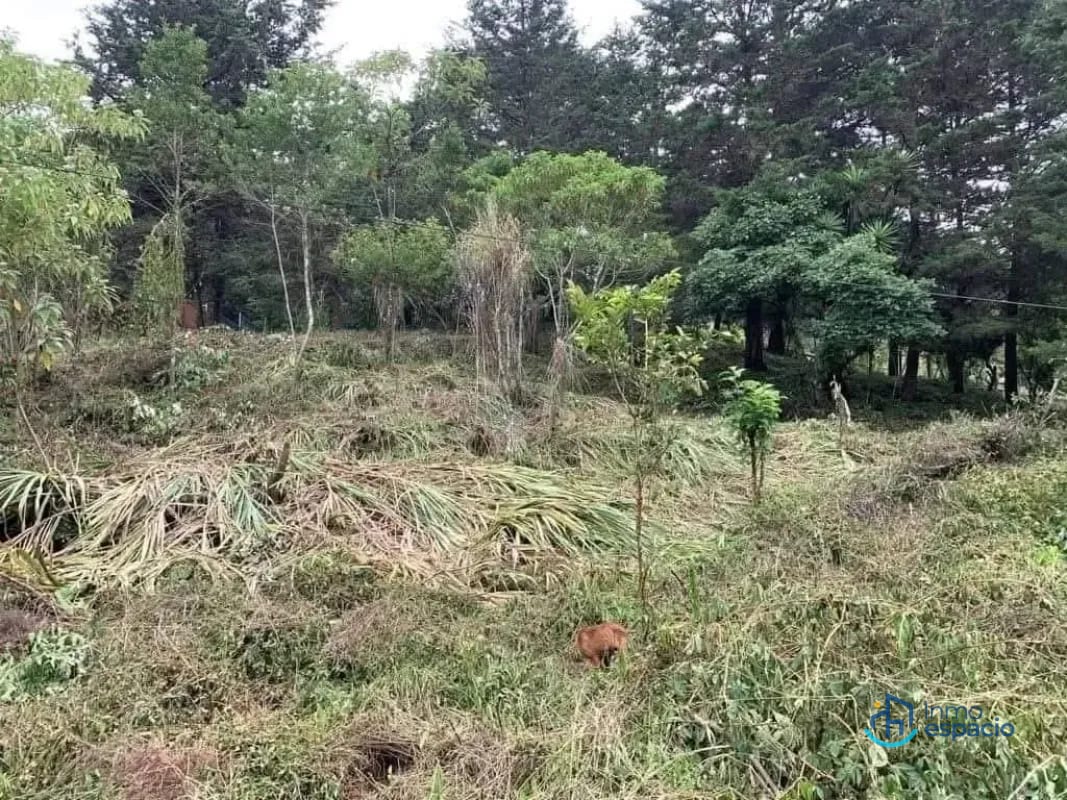 Terreno en venta – Km. 16 Carretera a El Salvador — Terreno en Venta en km 16-20, Carretera a El Salvador, Guatemala, Ciudad — foto 10 de 17