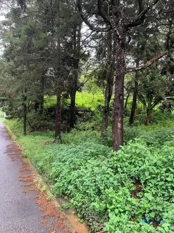 Terreno en venta – Km. 16 Carretera a El Salvador — Terreno en Venta en km 16-20, Carretera a El Salvador, Guatemala, Ciudad — foto 6 de 17