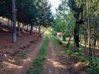Terreno en Santa María Cauqué, Santiago Sacatepéquez — Terreno en Venta en Santiago Sacatepéquez, Sacatepéquez — miniatura 3 de 3