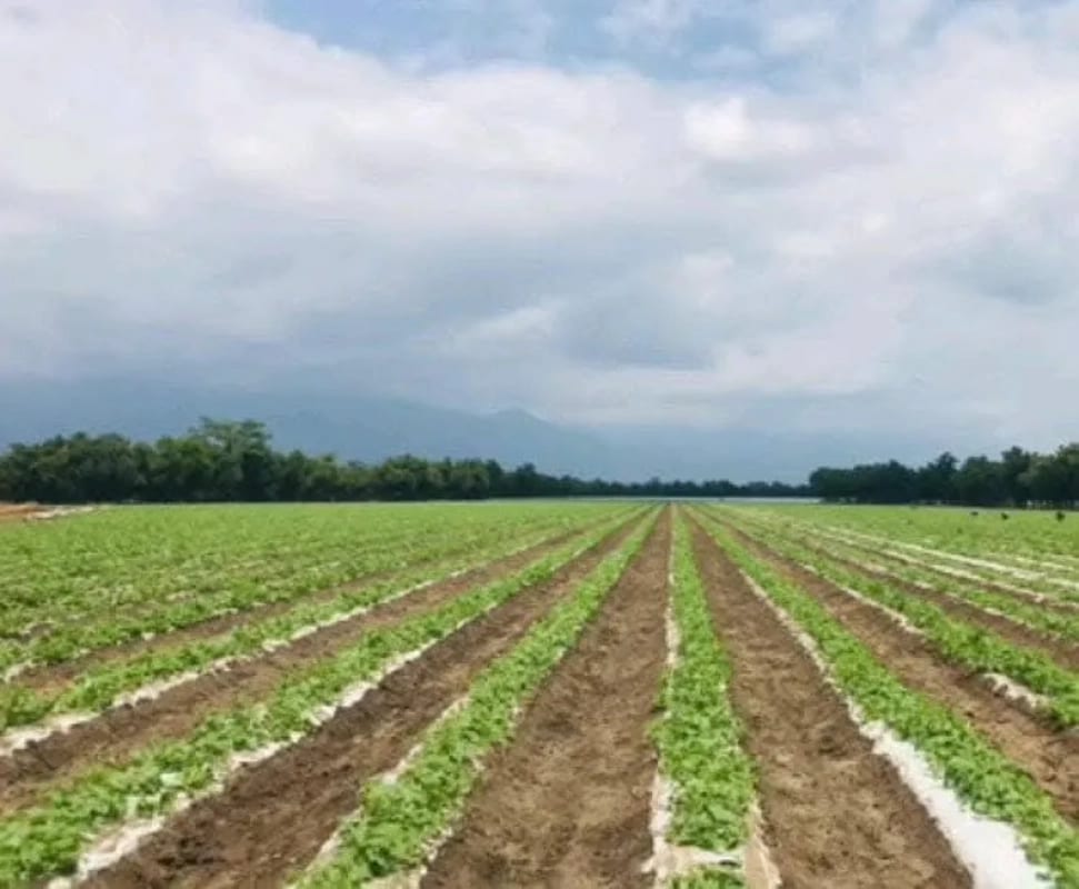 Se vende finca de 26.7 manzanas en El Progreso, Guastatoya — Finca en Venta en El Jícaro, El Progreso — foto 1 de 9