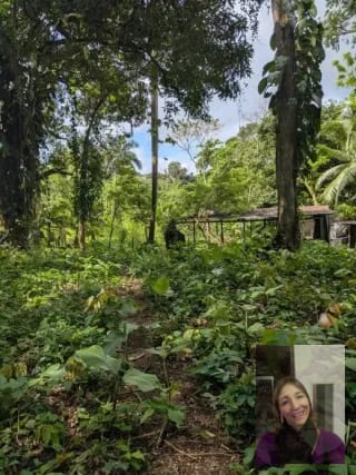 1 terreno rústicos Aldea Buena Vista, Miramar, Livingston — Terreno en Venta en Livingston, Izabal — miniatura 9 de 10