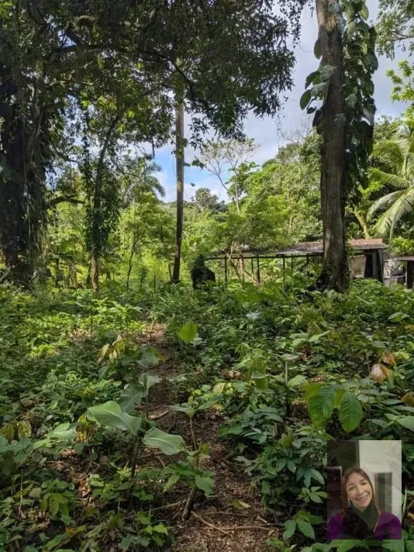 1 terreno rústicos Aldea Buena Vista, Miramar, Livingston — Terreno en Venta en Livingston, Izabal — foto 9 de 10