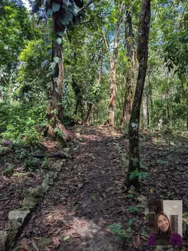 1 terreno rústicos Aldea Buena Vista, Miramar, Livingston — Terreno en Venta en Livingston, Izabal — foto 7 de 10