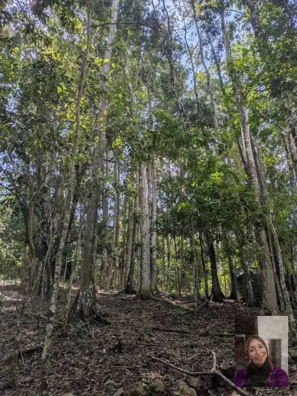 1 terreno rústicos Aldea Buena Vista, Miramar, Livingston — Terreno en Venta en Livingston, Izabal — foto 5 de 10