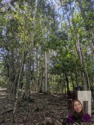 1 terreno rústicos Aldea Buena Vista, Miramar, Livingston — Terreno en Venta en Livingston, Izabal — miniatura 5 de 10