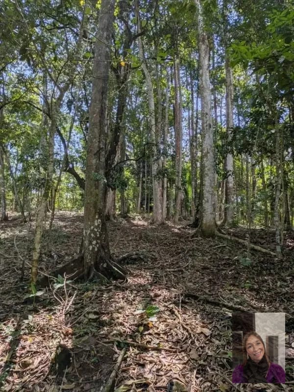 1 terreno rústicos Aldea Buena Vista, Miramar, Livingston — Terreno en Venta en Livingston, Izabal — foto 4 de 10